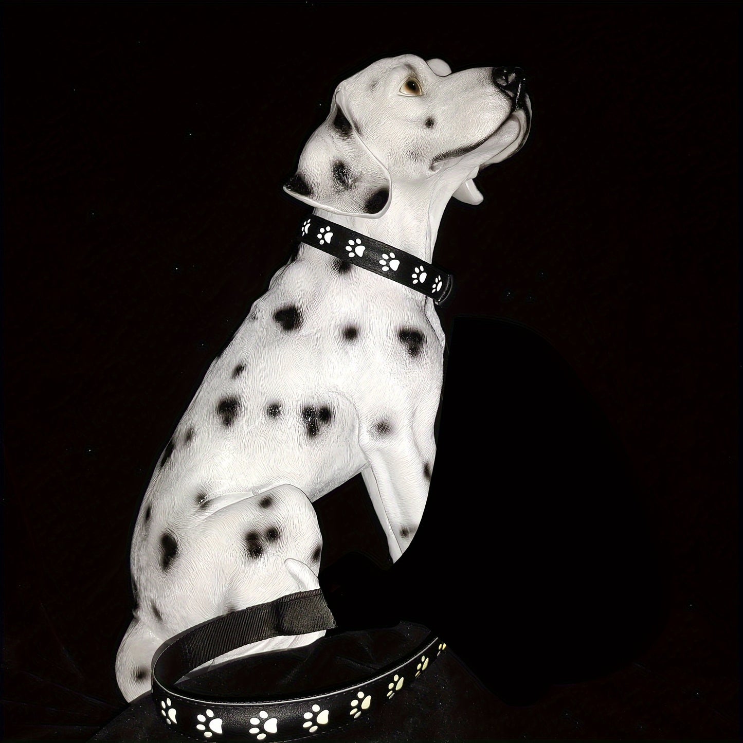 Collier lumineux à motif patte pour Chien - rechargeable par USB