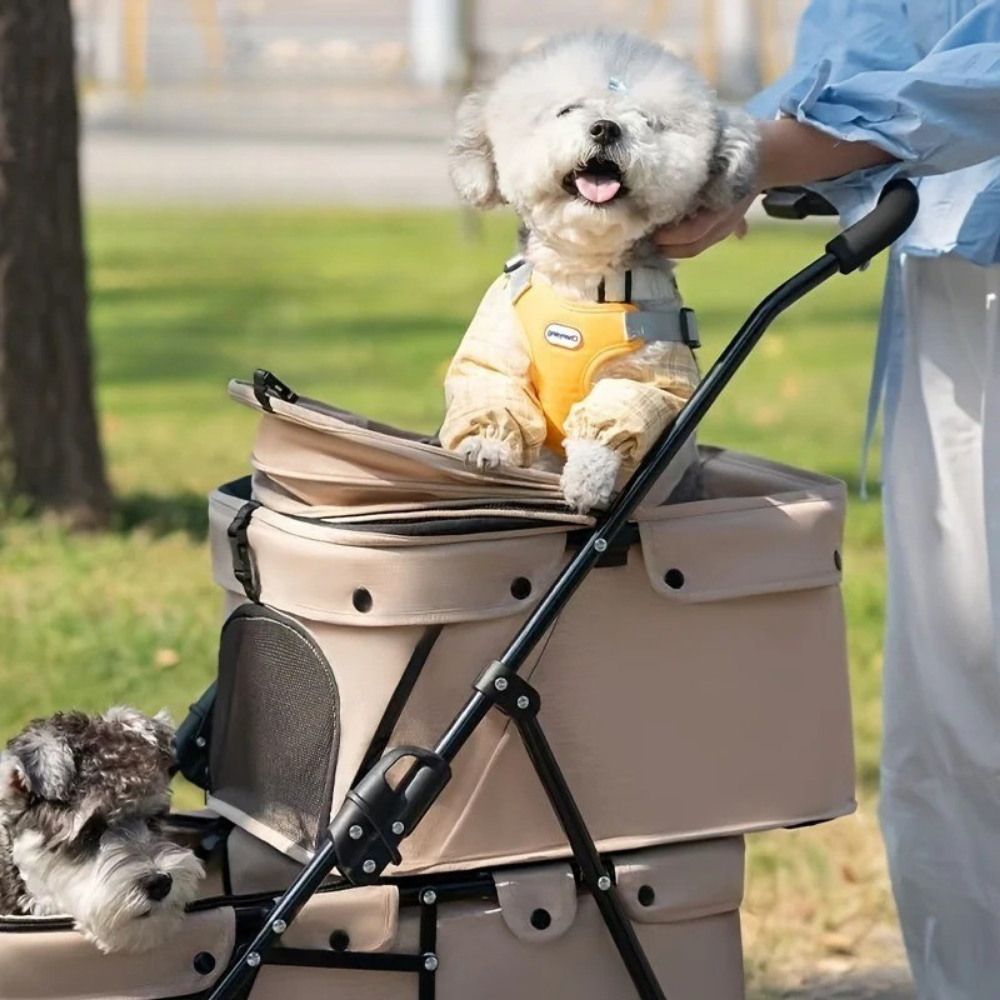 Poussette Double Pliable pour Chiens et Chats – Confort à Deux Étages