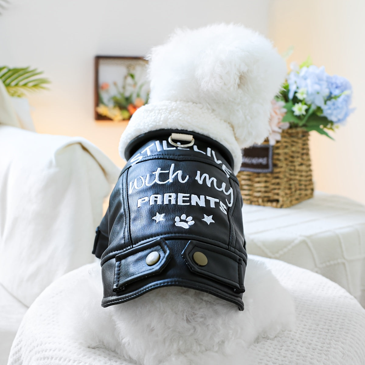 Veste Noire en Simili Cuir pour Chiens et Chats – Look Motard avec Doublure Mouton