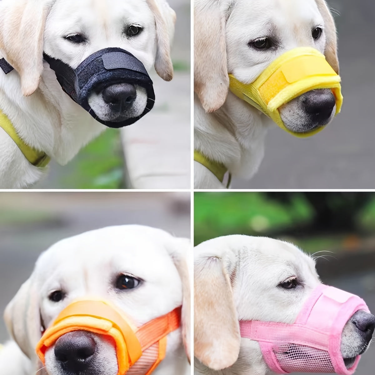 Muselière Anti-Morsure Respirante pour Chien