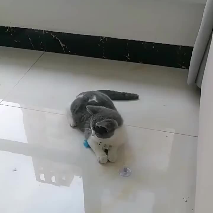 Jouet Souris à Ressort avec Ventouse pour Chat