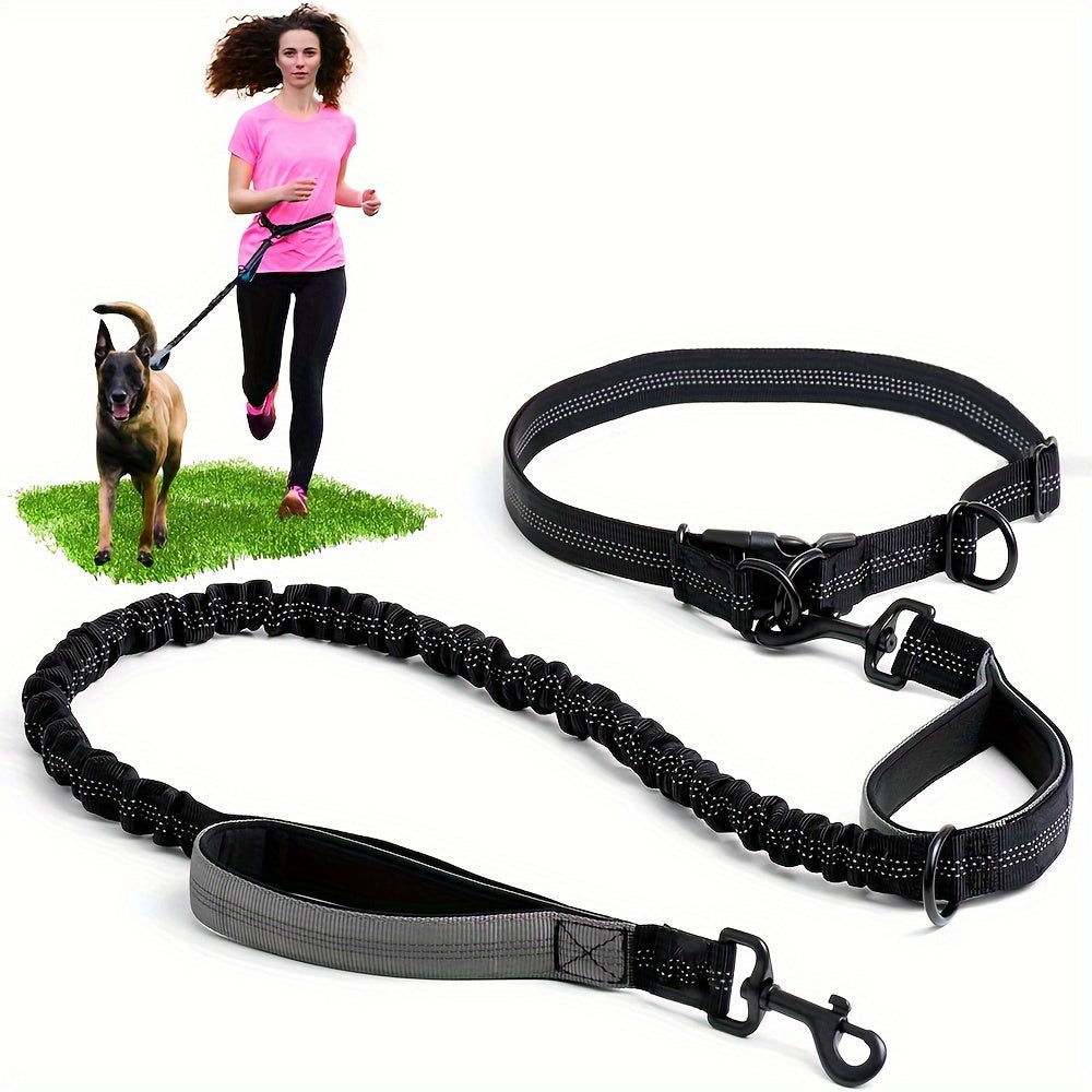 Laisse Elastique Mains Libres pour Chien