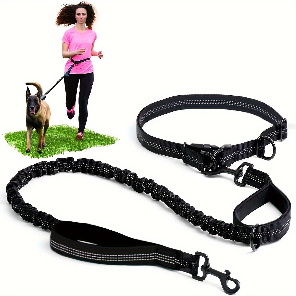 Laisse Elastique Mains Libres pour Chien