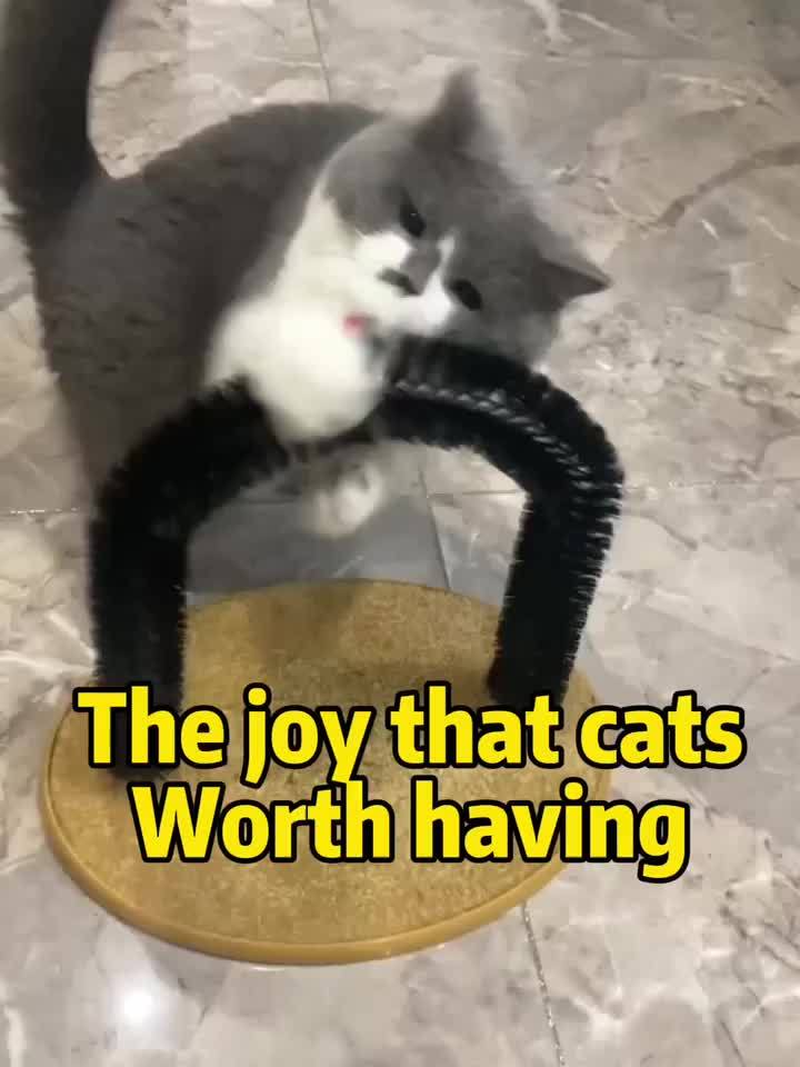 Arche de Toilettage et de Jeu pour Chat avec Souris Suspendue