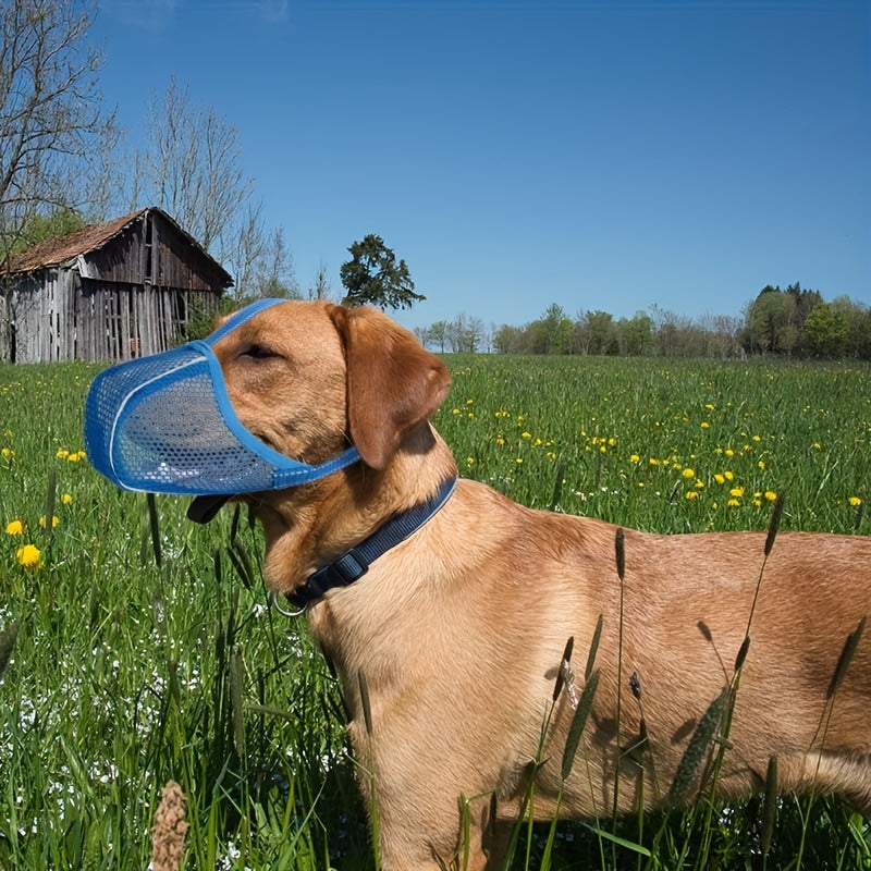 Muselière pour Chien en Maille Respirable