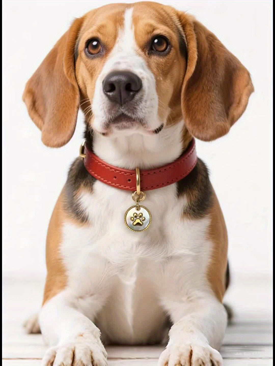 Médaille de Luxe pour Collier de Chien