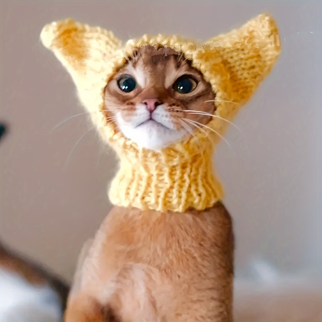 Bonnet Tricoté Elfique pour Chats – Chapeau Fantaisie en Maille Acrylique