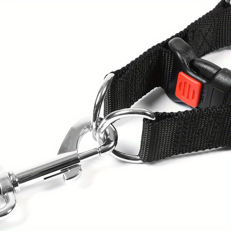 Collier étrangleur à maillons en acier avec boucle de sécurité – pour petit Chien
