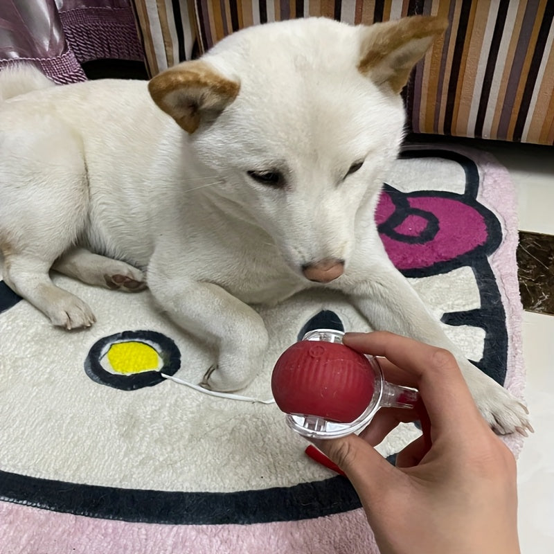 Jouet Balle Automatique Interactif Rechargeable pour Chiens et Chats