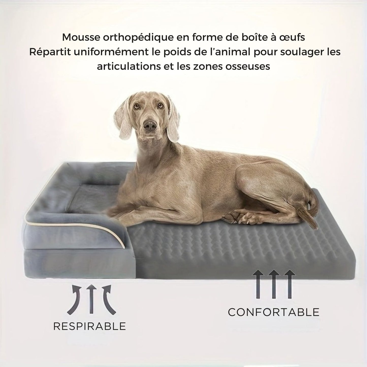 Lit Orthopédique Gris à Mousse pour Chien – Antidérapant & Déhoussable