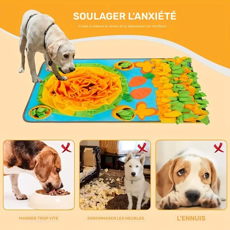 Grand Tapis de Fouille – Jouet de Recherche Olfactive pour Chien