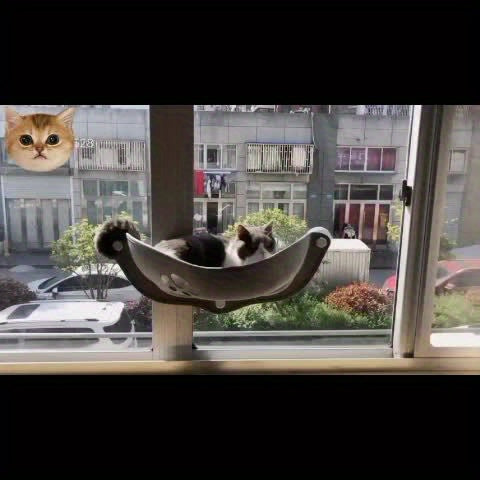 Hamac de Fenêtre en Forme de Croissant pour Chat