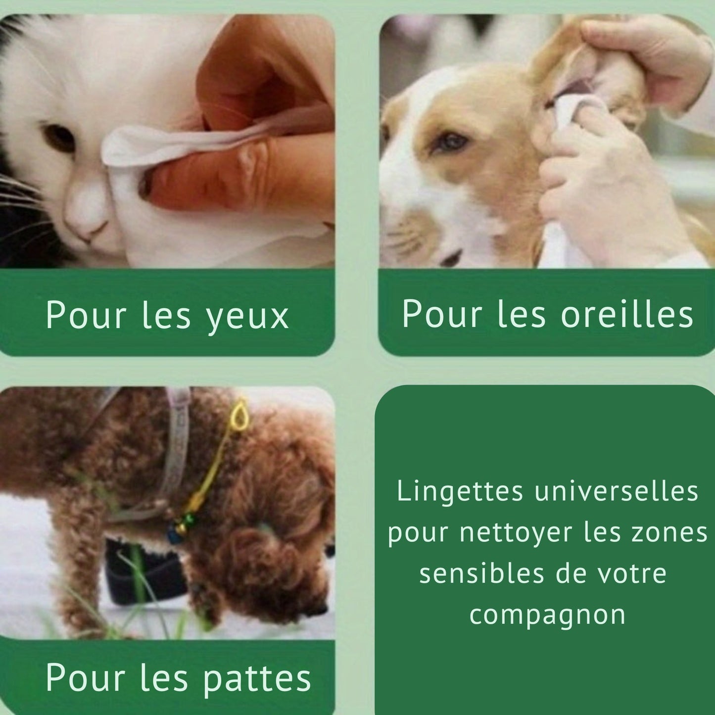 Lingettes Végétales Sans Parfum pour Chiens et Chats