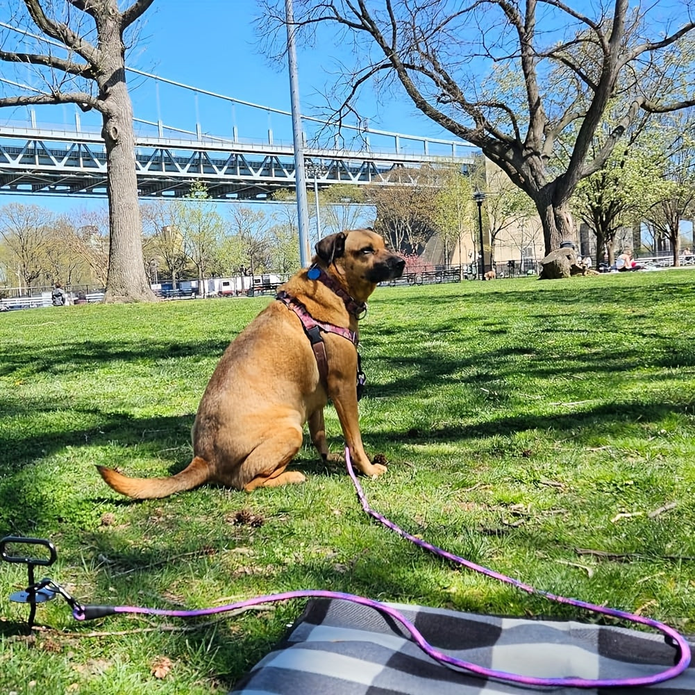 Longe d'Entraînement pour Chien en Corde polyester