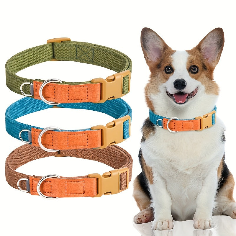 Collier Coloré style Casual pour Chien