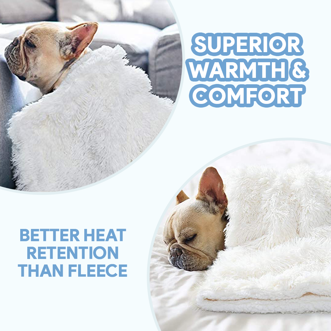 Couverture Polaire Ultra-Douce pour Chien – Confort & Chaleur
