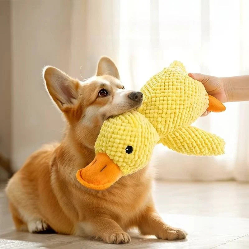 Jouet en peluche canard pour chien – Doux & ludique