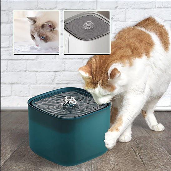 Fontaine à eau pour chat – Smart Cube 3L