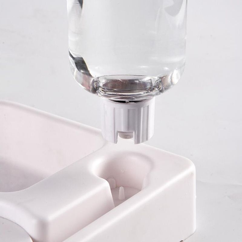 Distributeur d’eau et gamelle 2-en-1 pour chat – Hydratation facile