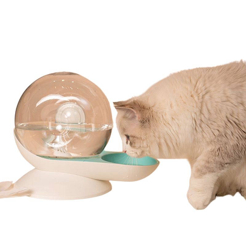 Fontaine à eau pour chat design escargot – Hydratation silencieuse