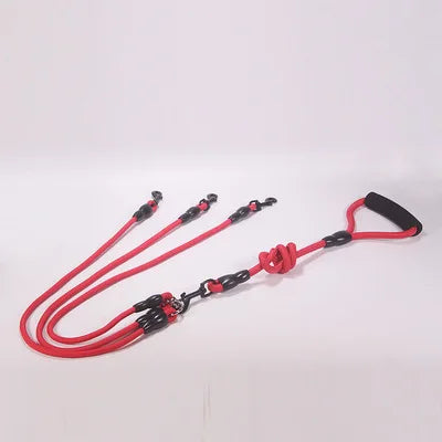 Laisse Double, Triple ou Quadruple Corde pour Chien