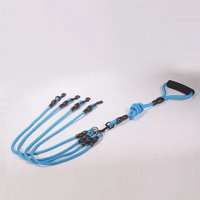 Laisse Double, Triple ou Quadruple Corde pour Chien