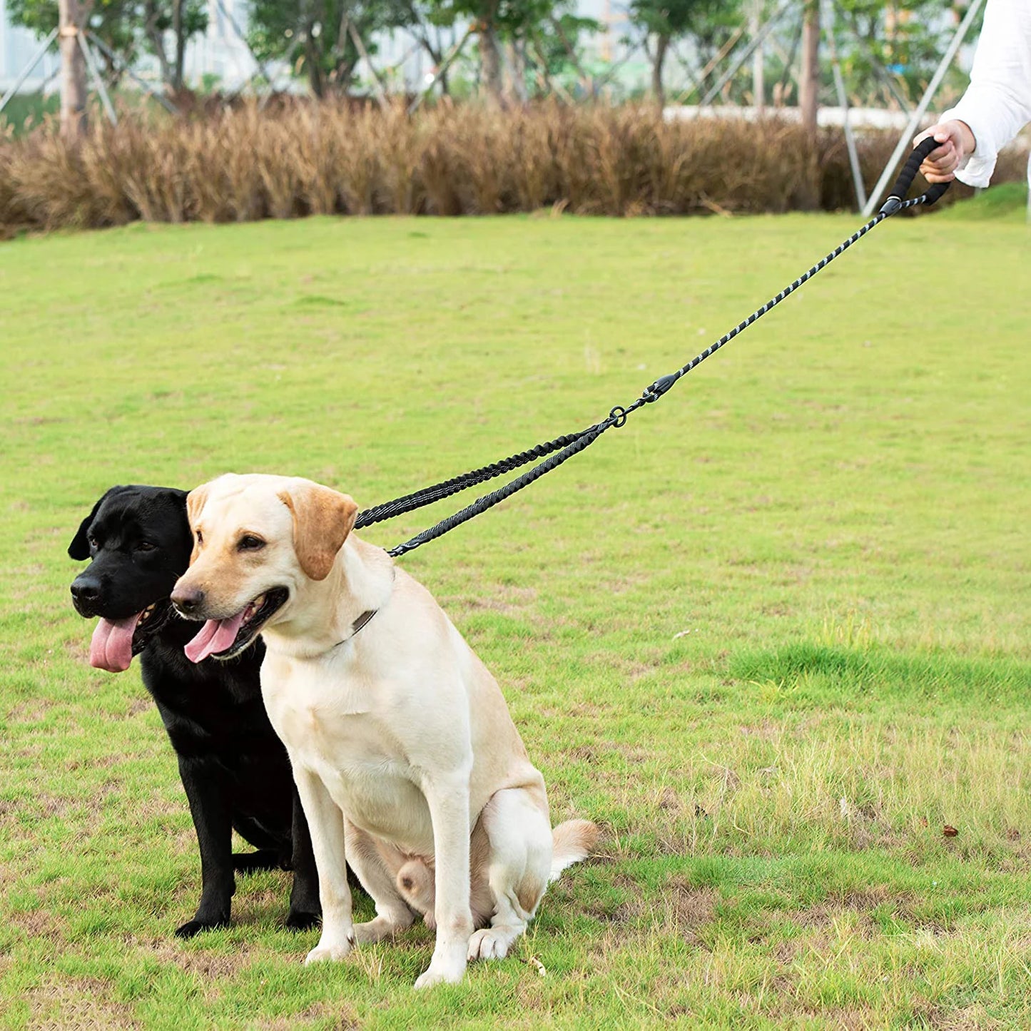 Laisse Double Corde Élastique pour Chien