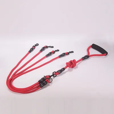 Laisse Double, Triple ou Quadruple Corde pour Chien