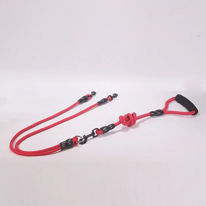 Laisse Double, Triple ou Quadruple Corde pour Chien