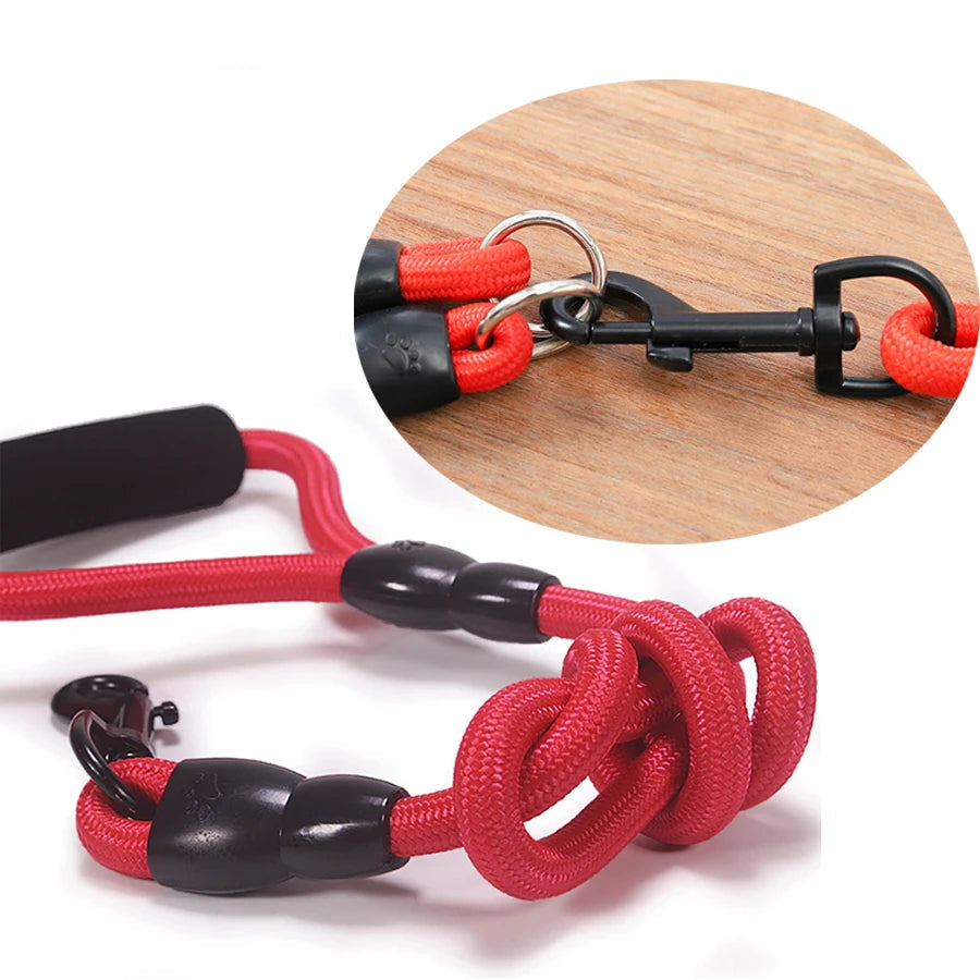 Laisse Double, Triple ou Quadruple Corde pour Chien