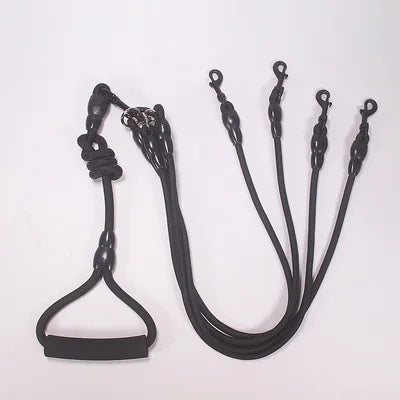 Laisse Double, Triple ou Quadruple Corde pour Chien