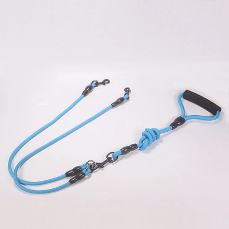 Laisse Double, Triple ou Quadruple Corde pour Chien