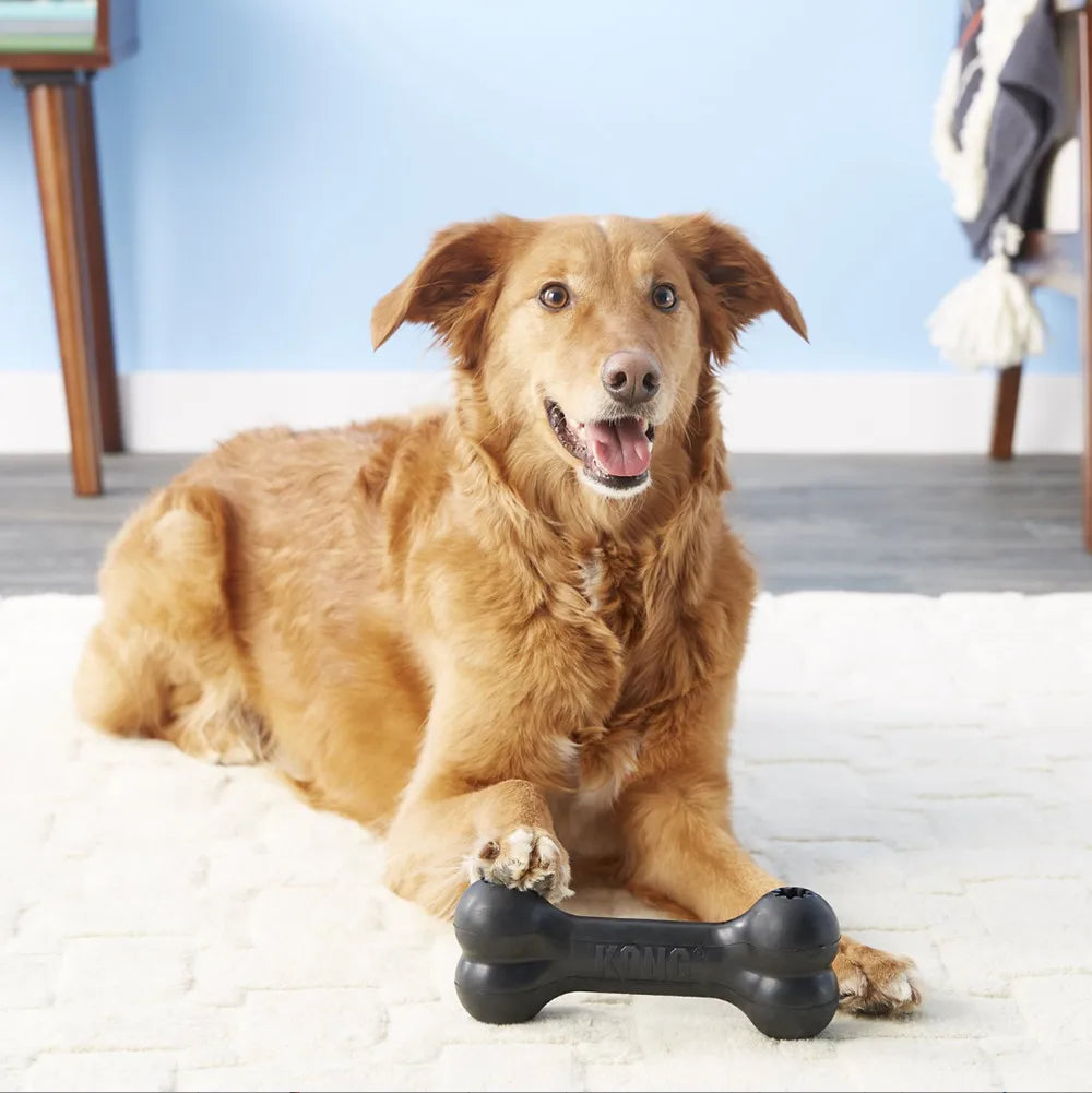 Grand Os Distributeur KONG