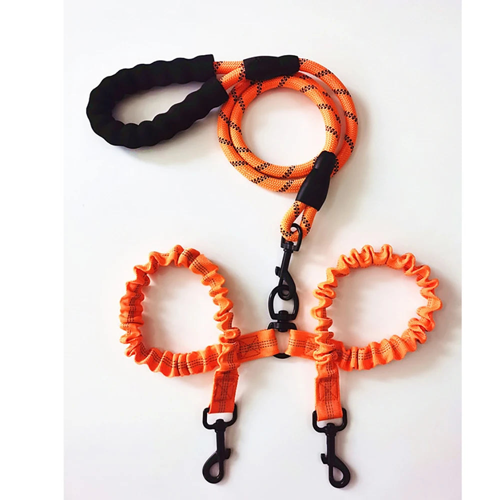 Laisse Double Corde Élastique pour Chien