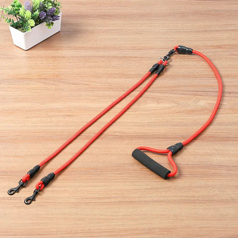 Laisse Double, Triple ou Quadruple Corde pour Chien