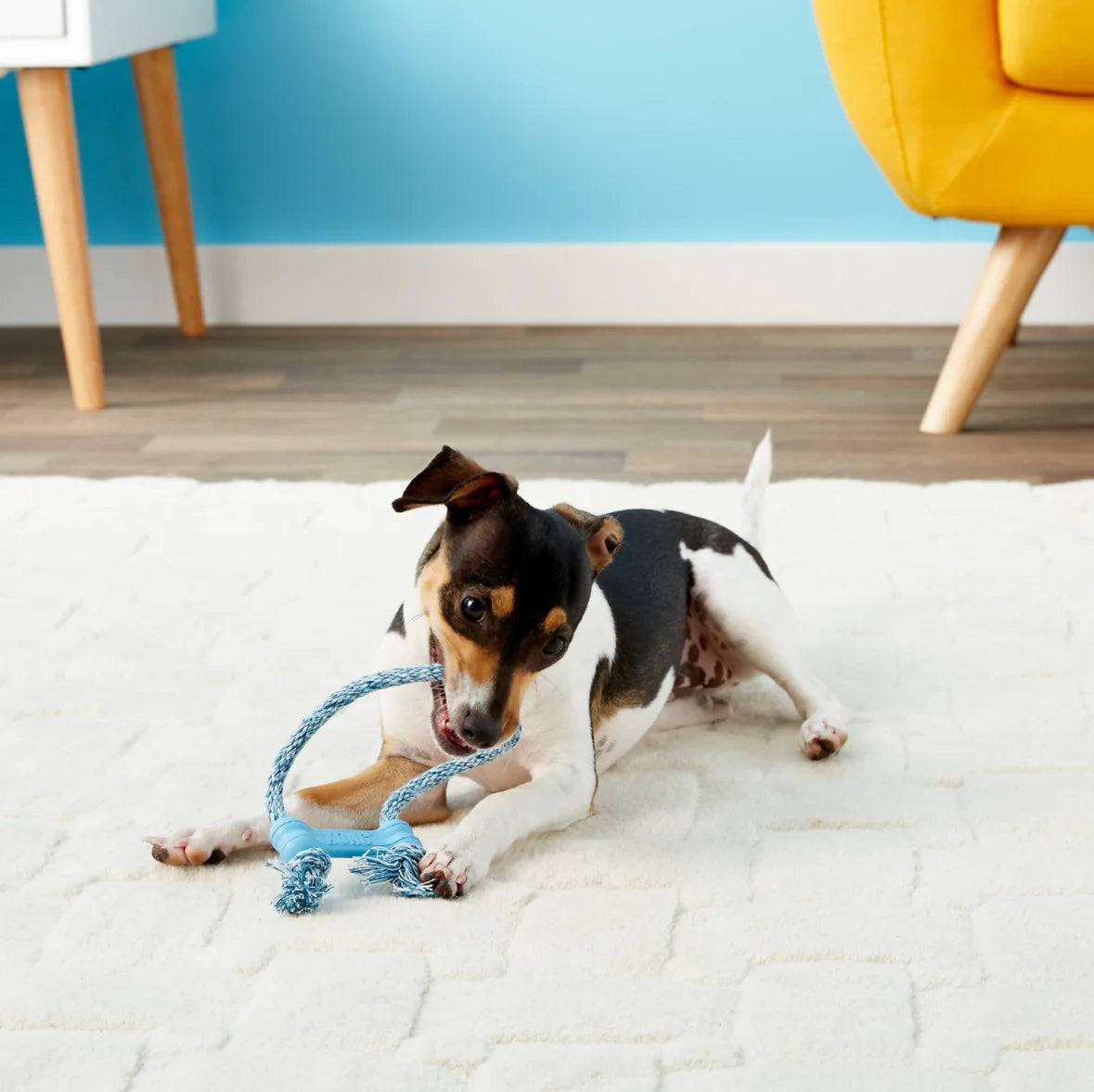 Os KONG Puppy Goodie Bone avec Corde
