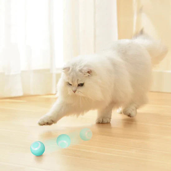 Balle Interactive Intelligente pour Chats