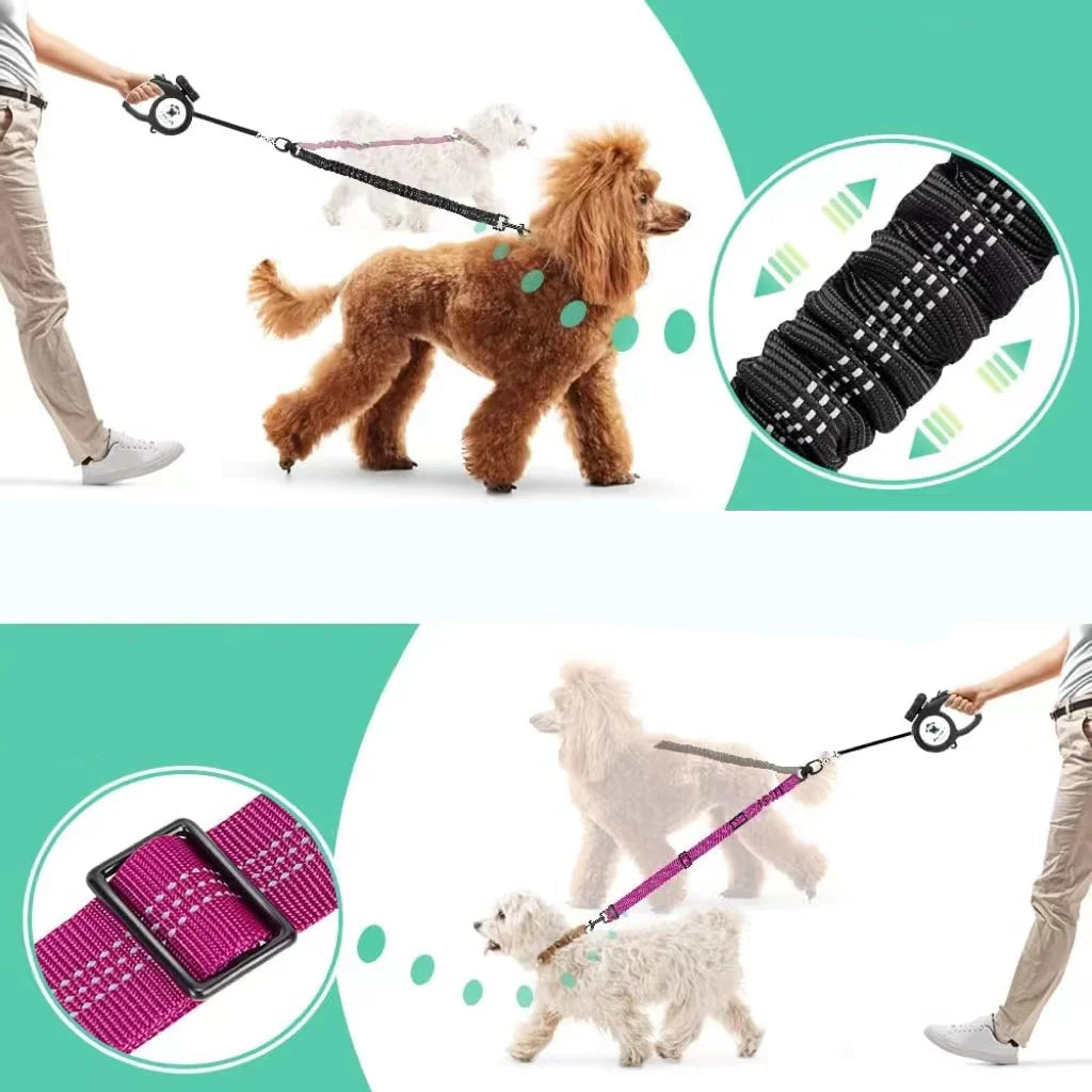 Rallonge Double Réglable & Élastique ColorDuo pour Laisse Chien
