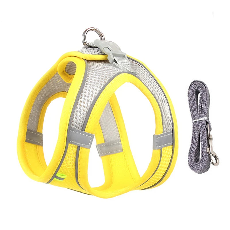 2 en 1 Harnais Réfléchissant + Laisse assortie pour Petit Chien
