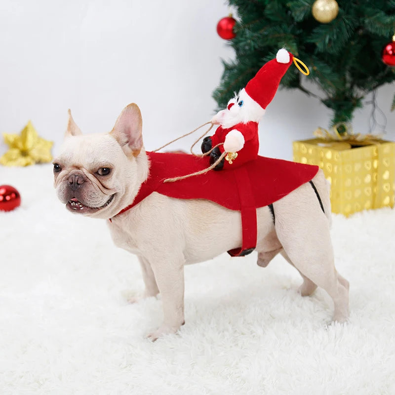 Costume Père Noël Cavalier pour Chiens et Chats