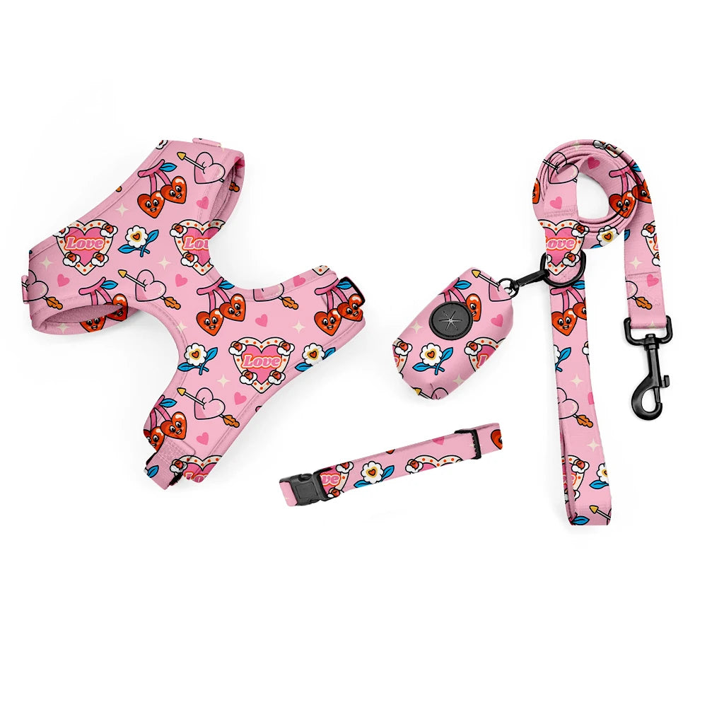 Pack 4-en-1 Harnais et accessoires pour Petit Chien