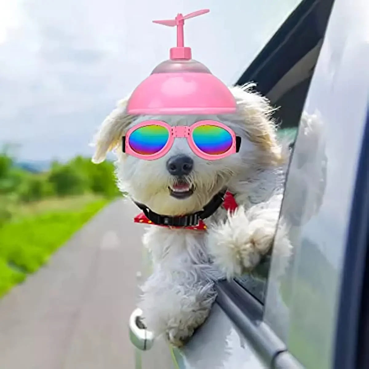 Casque & Lunettes avec Hélice pour Chien
