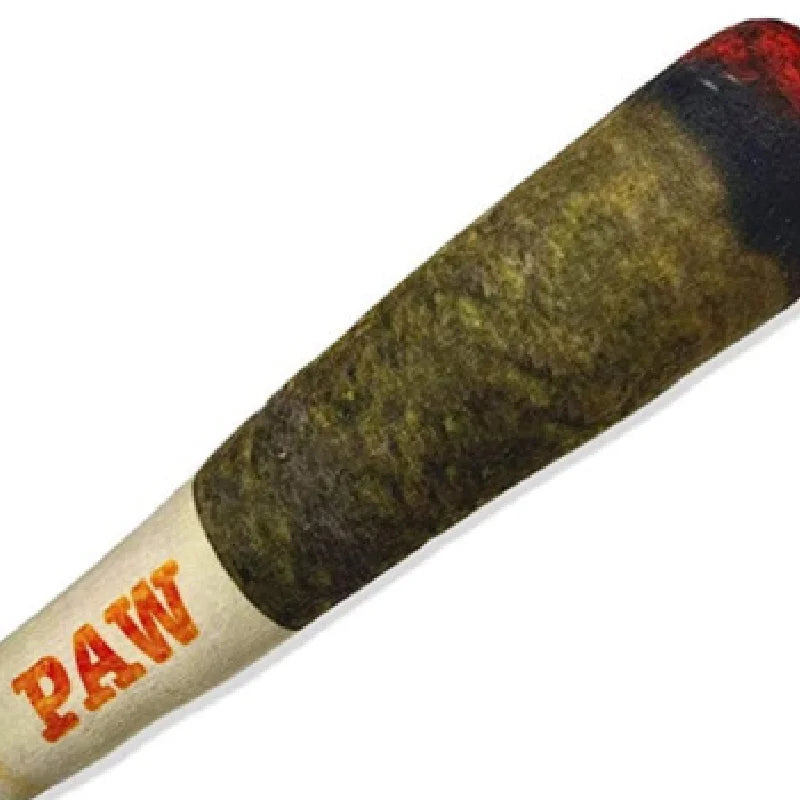 Jouet Cigare Sonore en Peluche pour Chiens