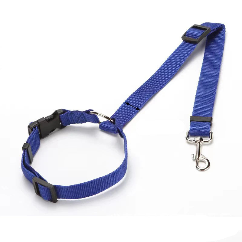 Ceinture de Sécurité & Laisse Voiture pour Chien
