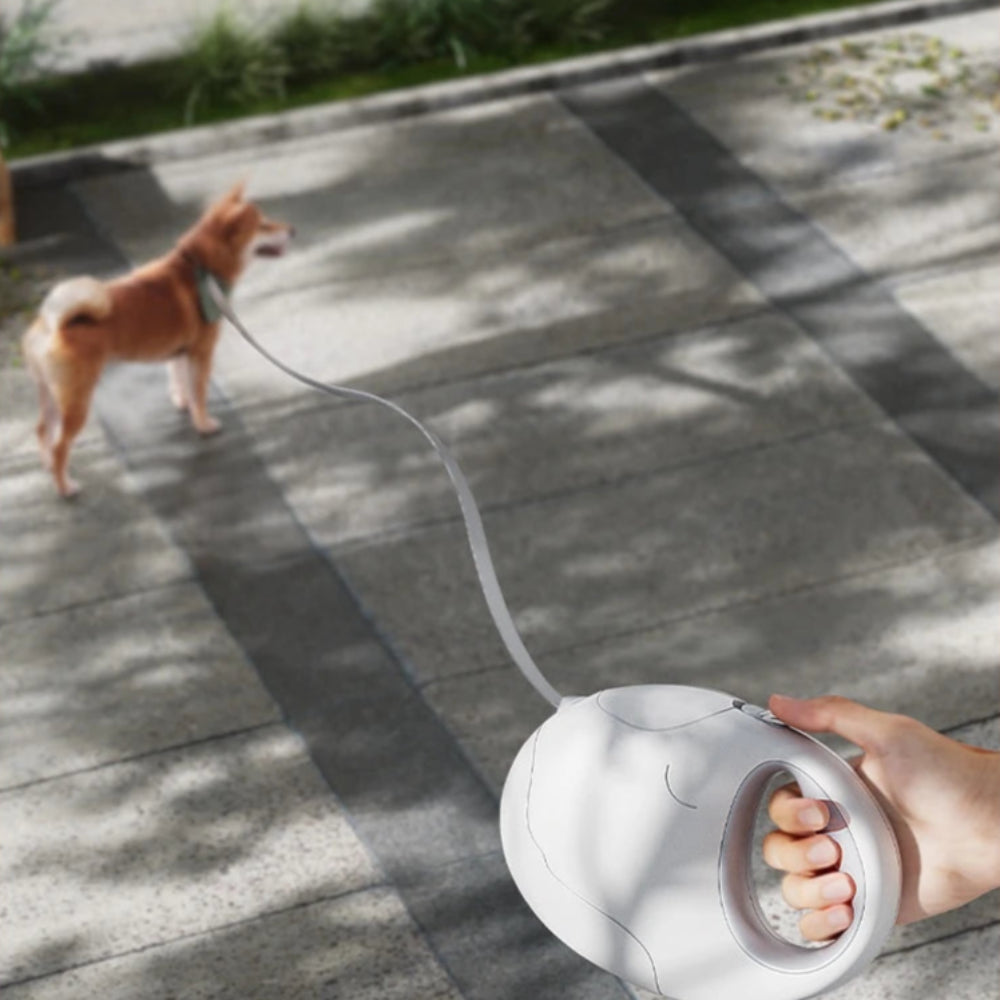 Laisse Enrouleur Haute Résistance pour Chien