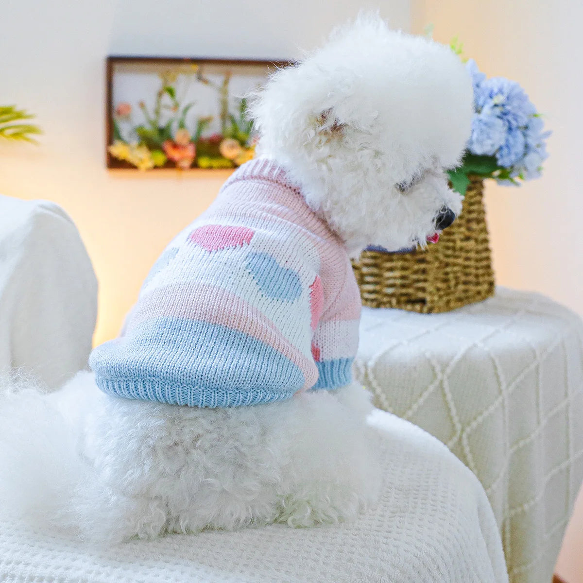 Pull Jacquard Rose et Bleu à Cœurs pour Petit Chien