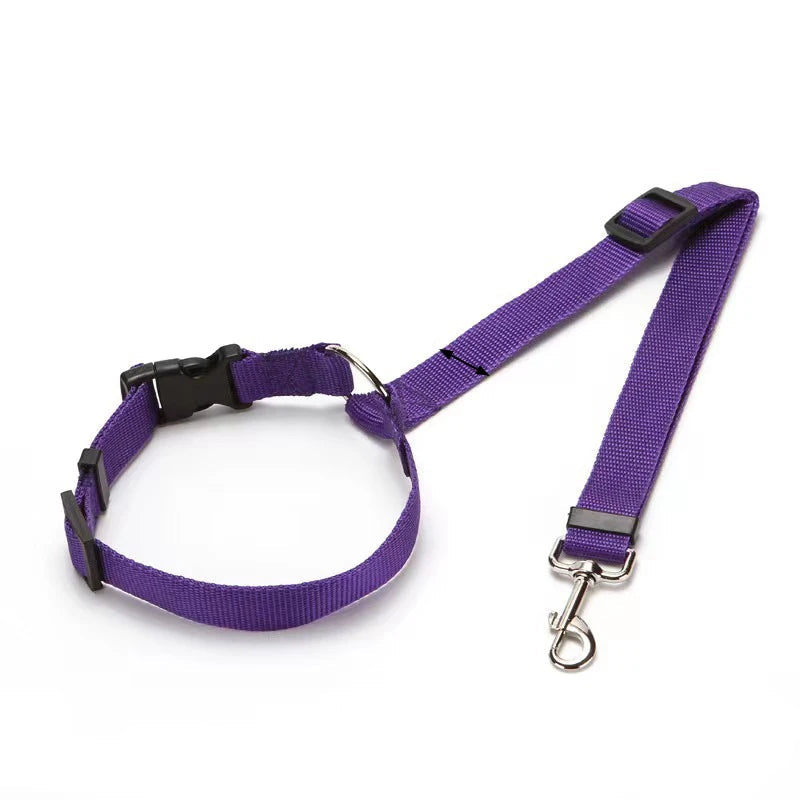 Ceinture de Sécurité & Laisse Voiture pour Chien