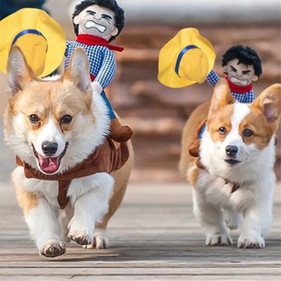 Déguisement Cowboy avec Selle pour Chiens – Velcro Ajustable