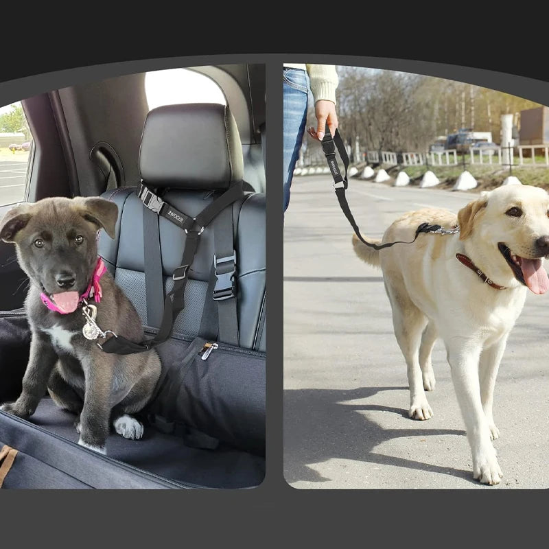 Ceinture de Sécurité & Laisse Voiture pour Chien