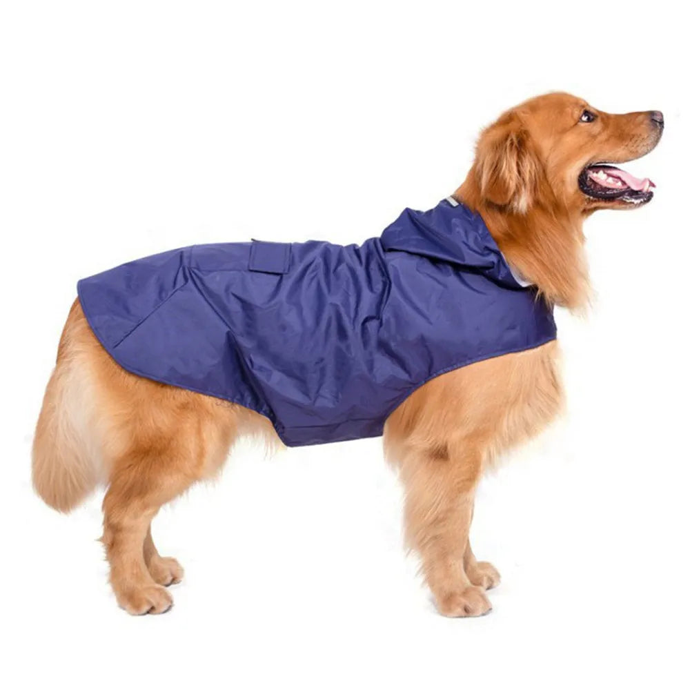 Poncho Imperméable Réfléchissant pour Chien toutes Tailles